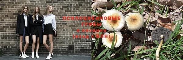MESCALINE Елизово