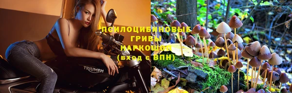 круглые Ельня