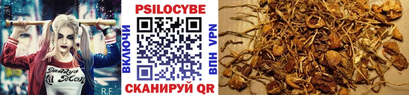 Галлюциногенные грибы прущие грибы  Приволжский 